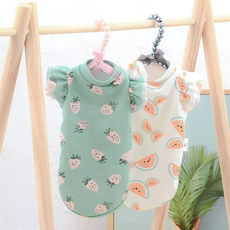 Cute Cotton Cat Hoodies for Spring & Autumn | Sphynx Cat Costumes & Pajamas | Sphinx Kitten Clothes & Cat Clothing