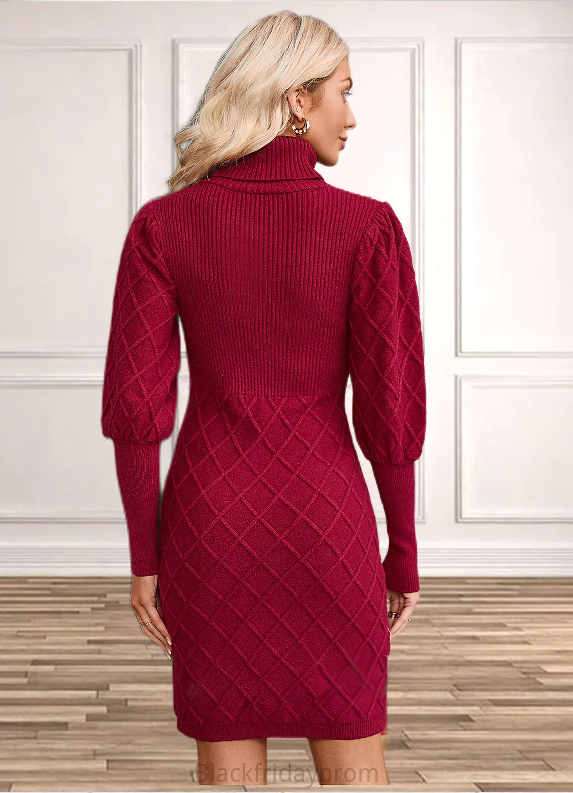 Fernanda High Neck Elegant Bodycon Cotton Blends Mini Dresses BF2P0022559