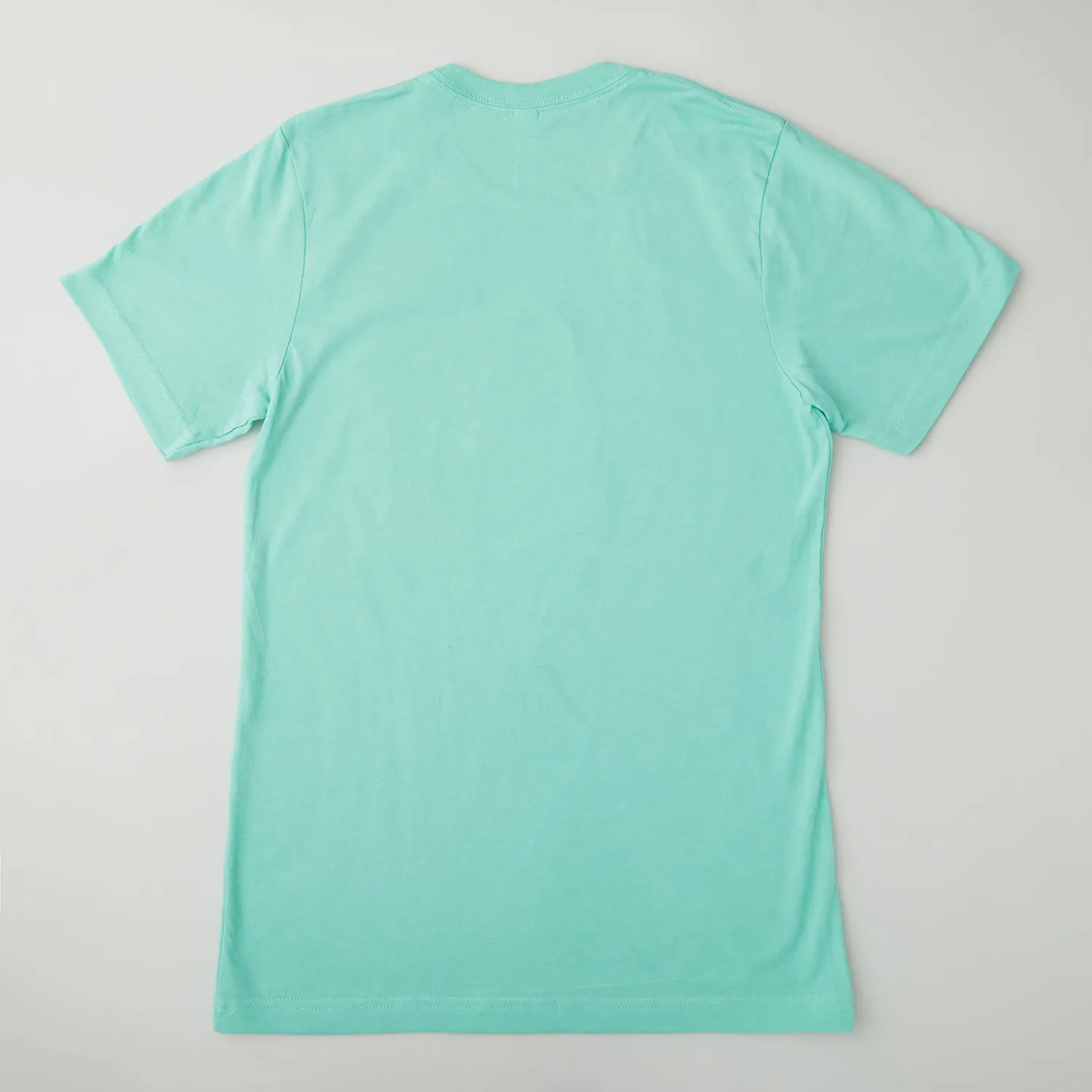Missouri Star All You Need is Soda and Fabric T-shirt Heather Mint - 3XL