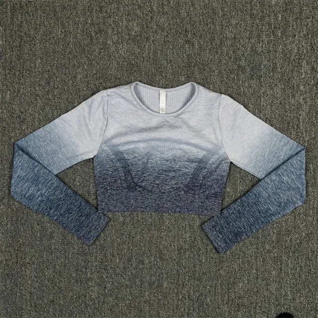 Seamless Grey and Blue Ombre Padded Sports Bra and Leggings Gym Set