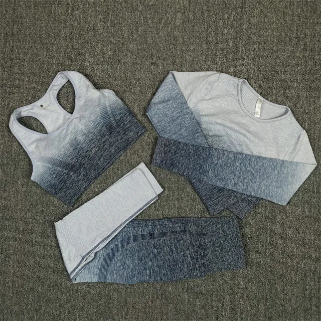 Seamless Grey and Blue Ombre Padded Sports Bra and Leggings Gym Set