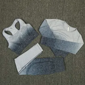 Seamless Grey and Blue Ombre Padded Sports Bra and Leggings Gym Set