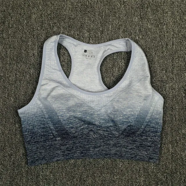 Seamless Grey and Blue Ombre Padded Sports Bra and Leggings Gym Set