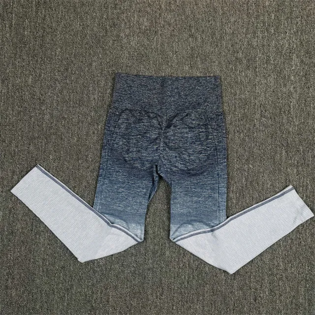 Seamless Grey and Blue Ombre Padded Sports Bra and Leggings Gym Set